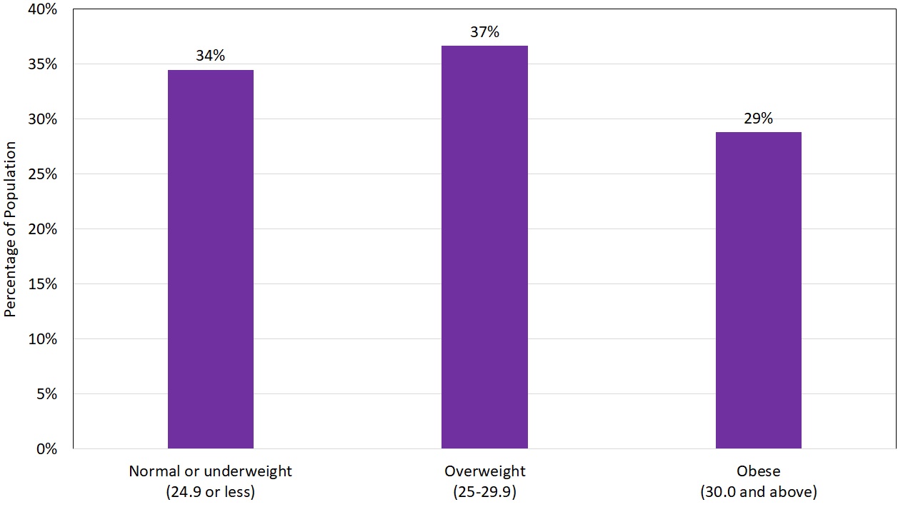 BMI Women Chart